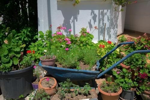 Outdoor Pictures 15