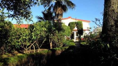 Outdoor Pictures 1