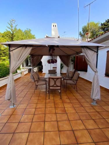 Outdoor Pictures 24