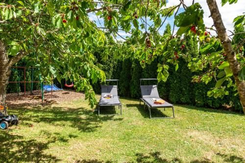 Outdoor Pictures 20