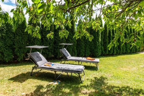Outdoor Pictures 21