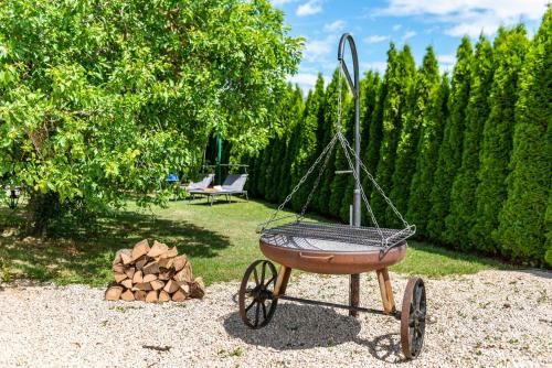 Outdoor Pictures 22