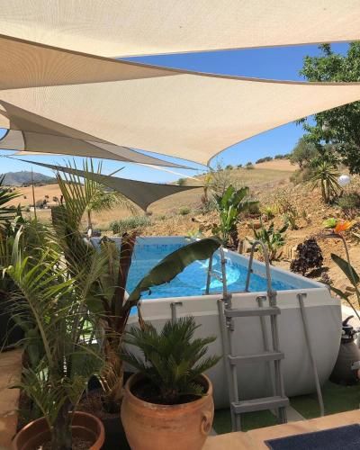 Finca Las Campanas II