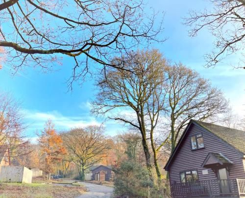 Snug hut 5-Hot Tub-Woodland Lodges-Pembrokshire-Tenby