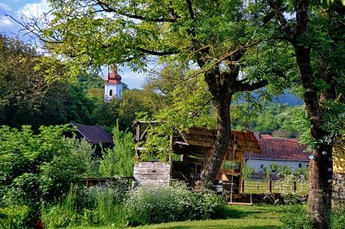 Outdoor Pictures 20