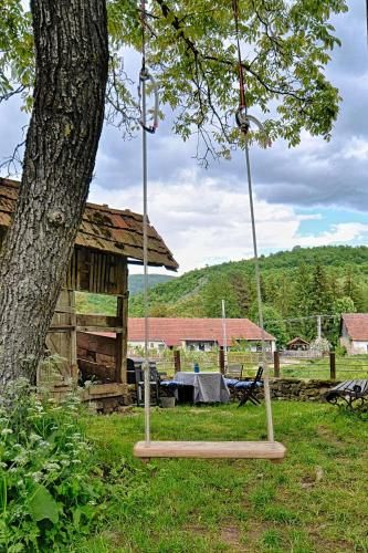 Outdoor Pictures 21