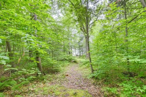 Outdoor Pictures 24
