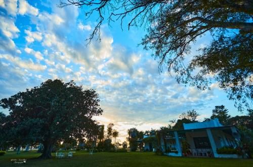 Outdoor Pictures 15