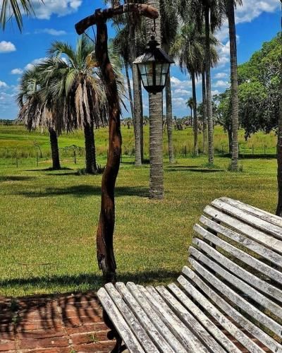 Outdoor Pictures 3