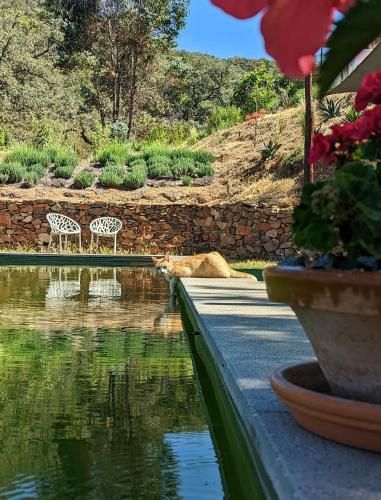 Finca Bravo