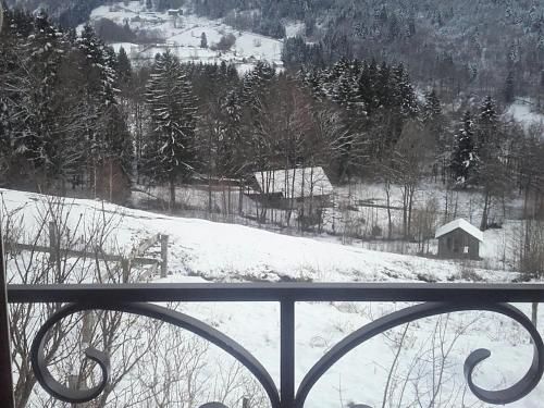 Outdoor Pictures 9