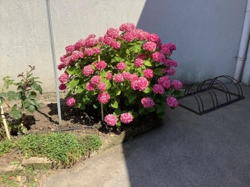 Outdoor Pictures 6