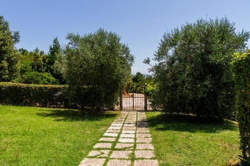 Outdoor Pictures 22