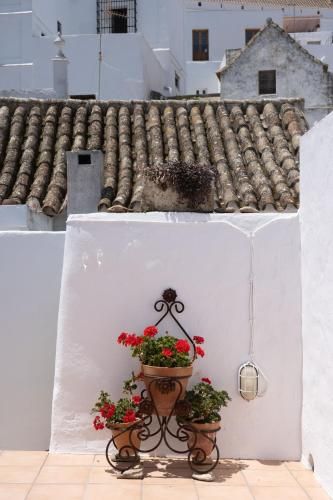 Outdoor Pictures 20