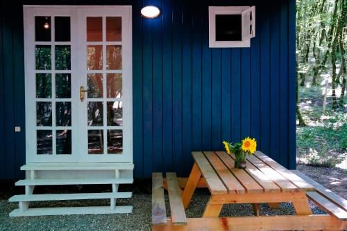 Outdoor Pictures 21