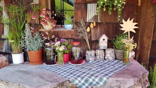 Outdoor Pictures 15