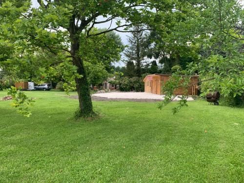 Outdoor Pictures 7