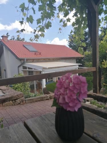 Outdoor Pictures 5