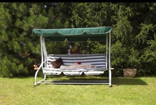 Outdoor Pictures 7
