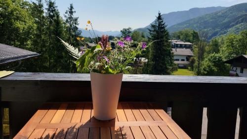 Outdoor Pictures 4