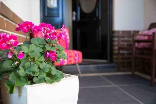Outdoor Pictures 6