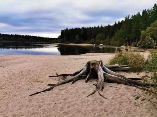 Outdoor Pictures 22