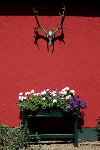 Outdoor Pictures 6