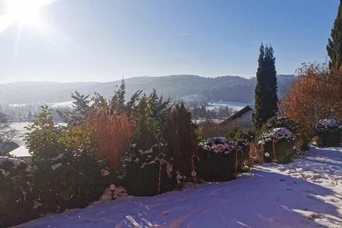 Outdoor Pictures 10