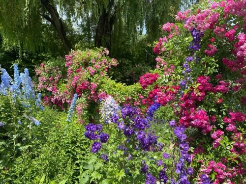 Outdoor Pictures 21