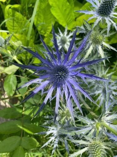 Outdoor Pictures 24