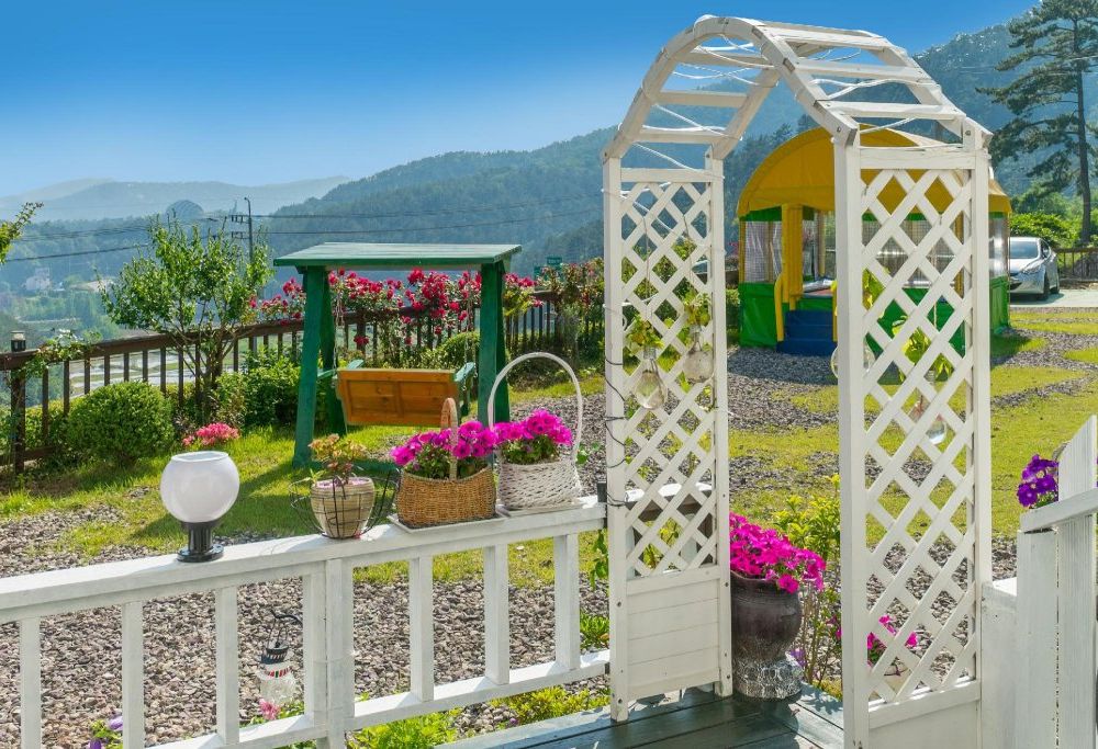 Outdoor Pictures 3