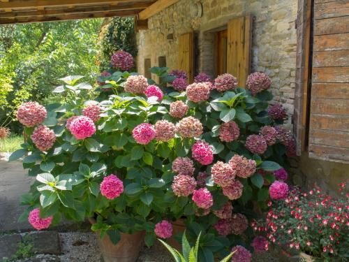 Outdoor Pictures 9