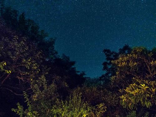 Outdoor Pictures 19