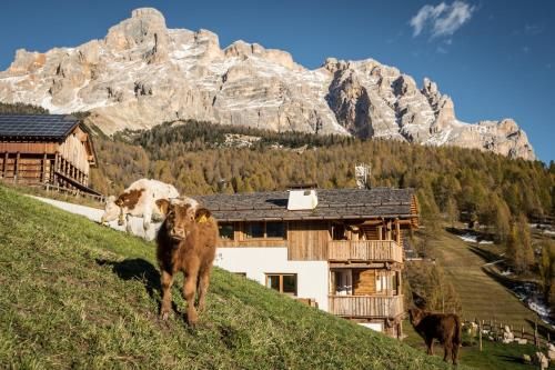 Outdoor Pictures 21