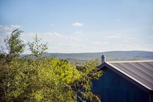Outdoor Pictures 24