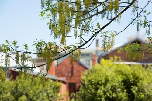 Outdoor Pictures 11