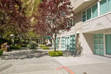 Serene Condo in SF/North Beach/Telegraph Hillside