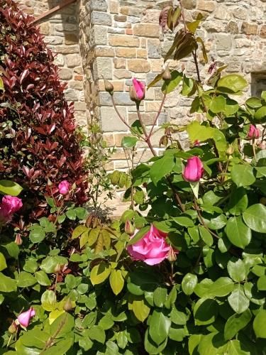 Outdoor Pictures 7