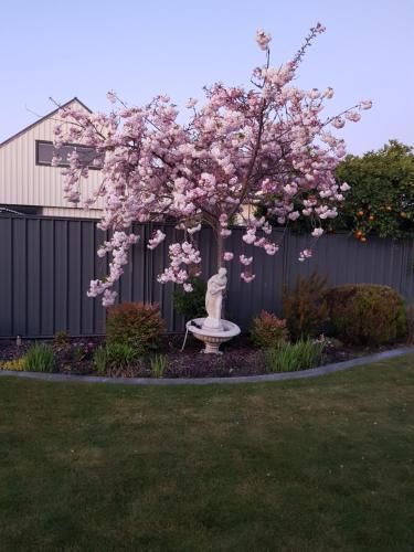 Outdoor Pictures 1