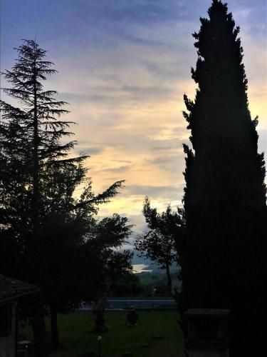 Outdoor Pictures 15