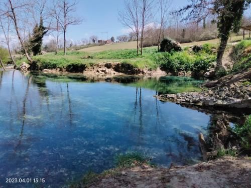 Outdoor Pictures 10
