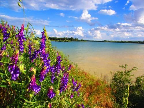 Outdoor Pictures 7