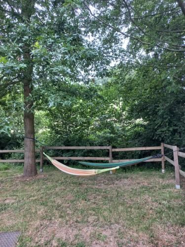 Outdoor Pictures 11