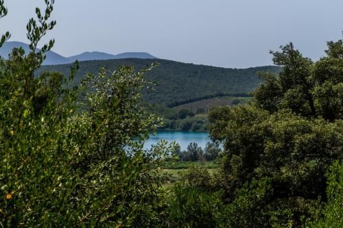Outdoor Pictures 20