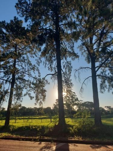 Outdoor Pictures 15