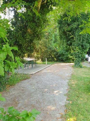 Outdoor Pictures 8