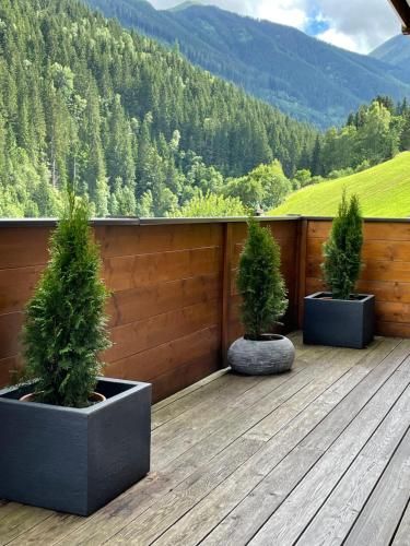 Outdoor Pictures 8
