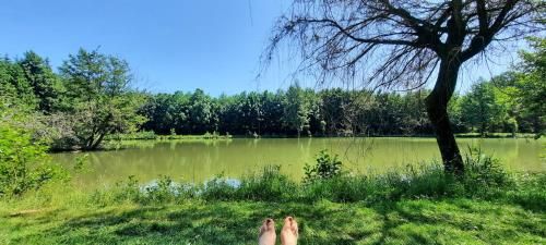 Outdoor Pictures 12