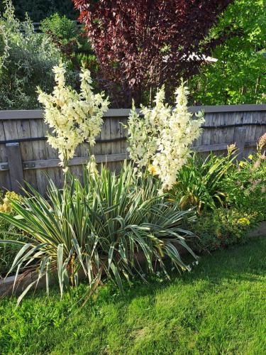 Outdoor Pictures 21