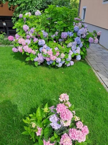Outdoor Pictures 22